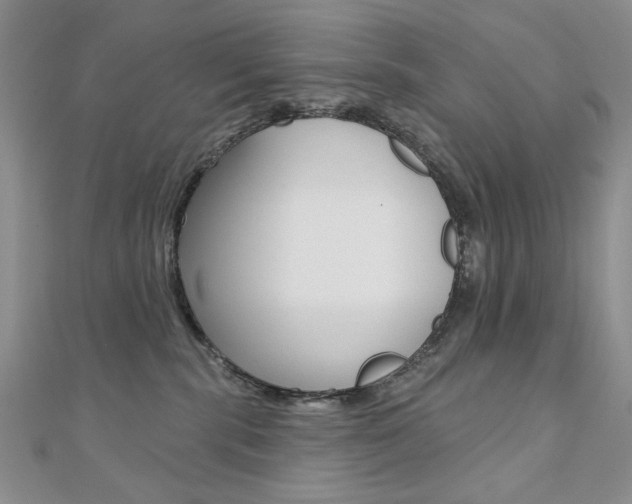 X0000110680283200906121041