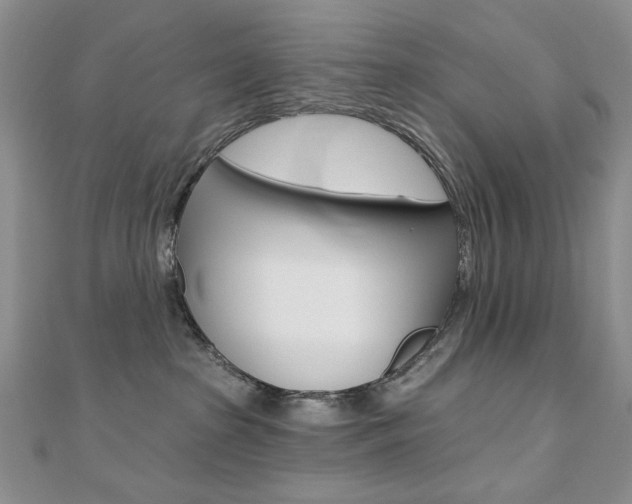 X0000110680285200906121041
