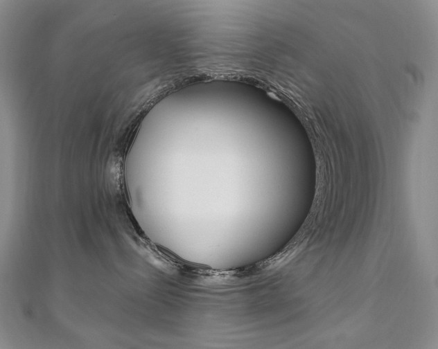X0000110680288200906121041
