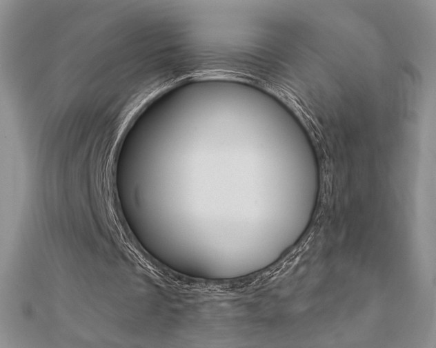X0000110680289200906121041