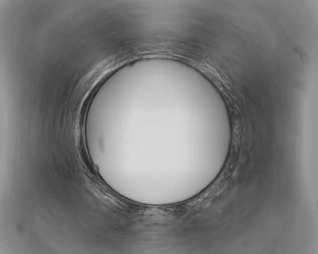 X0000110680290200906121041