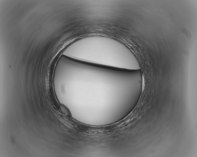 X0000110680291200906121041