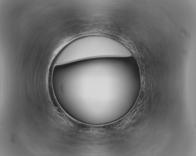 X0000110680292200906121041