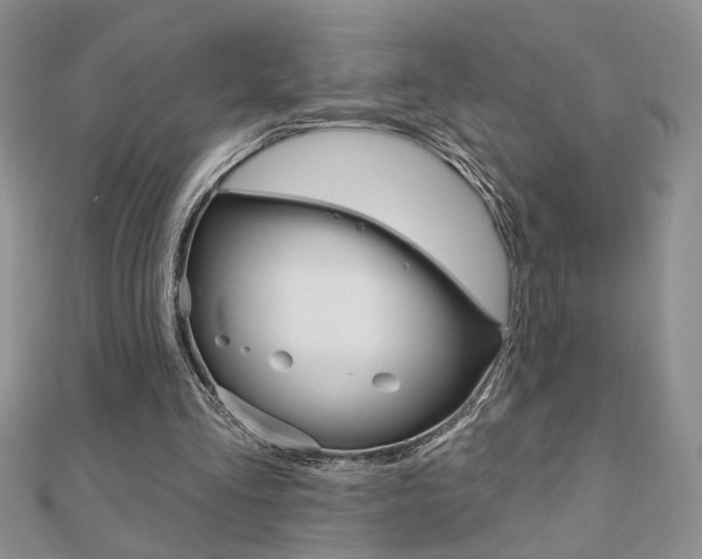 X0000110680293200906121041