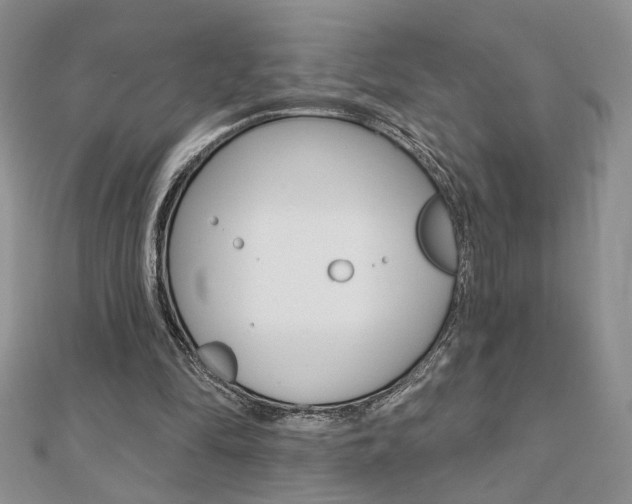 X0000110680294200906121041