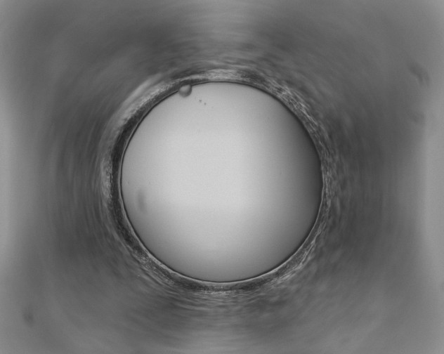 X0000110680295200906121041