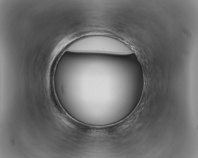 X0000110680296200906121041