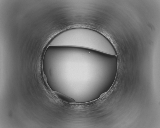 X0000110680297200906121041
