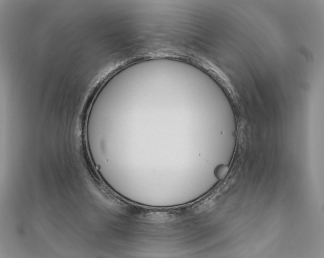 X0000110680298200906121041
