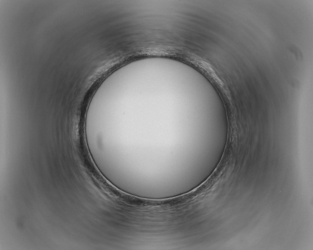 X0000110680299200906121041