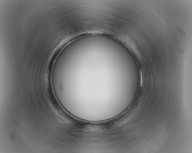 X0000110680300200906121040