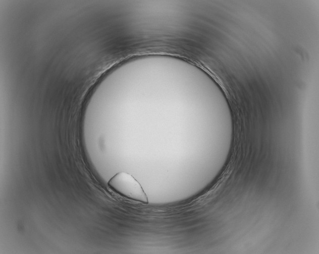 X0000110680301200906121040