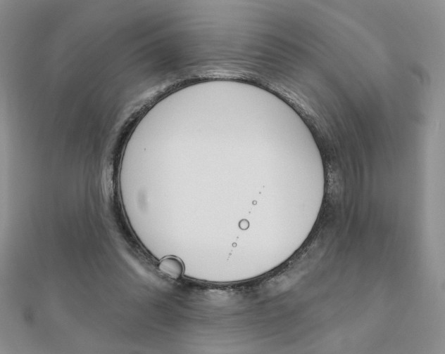 X0000110680302200906121040