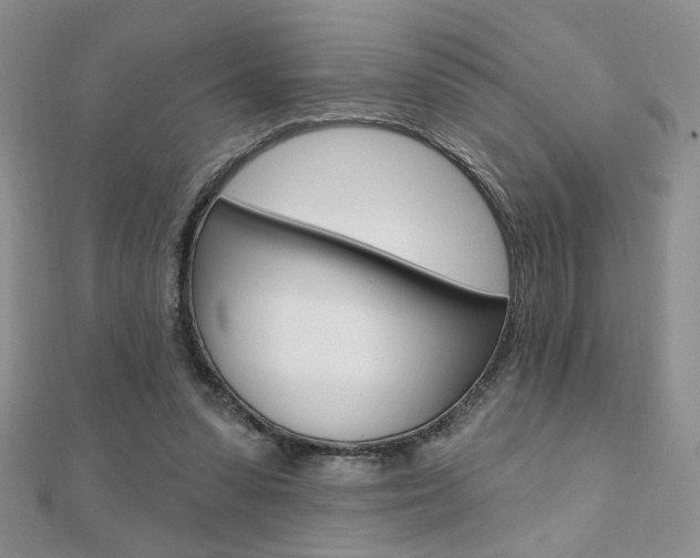 X0000110680303200906121040