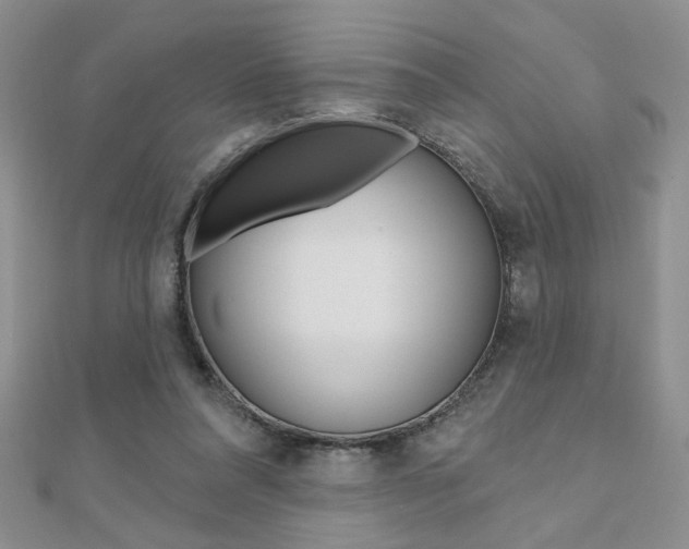 X0000110680304200906121040