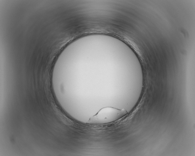 X0000110680305200906121040
