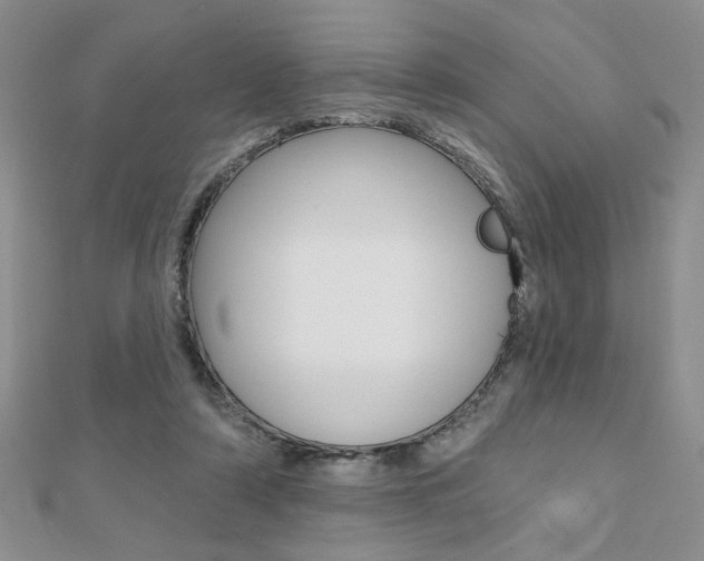 X0000110680306200906121040