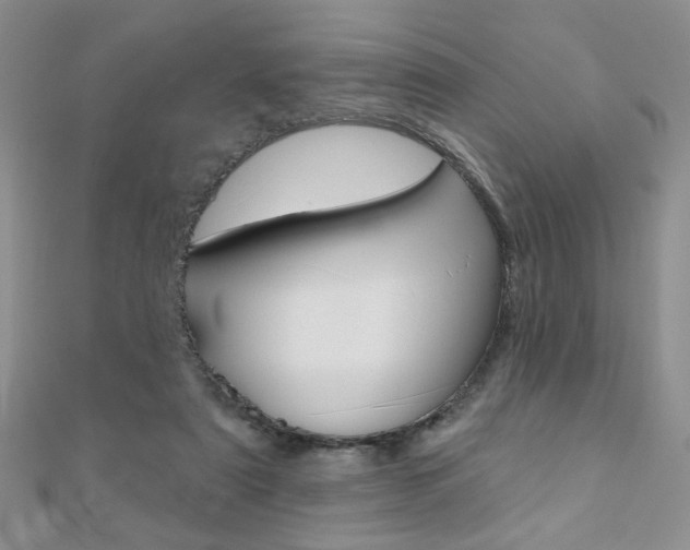 X0000110680307200906121040