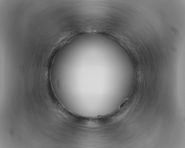 X0000110680308200906121040
