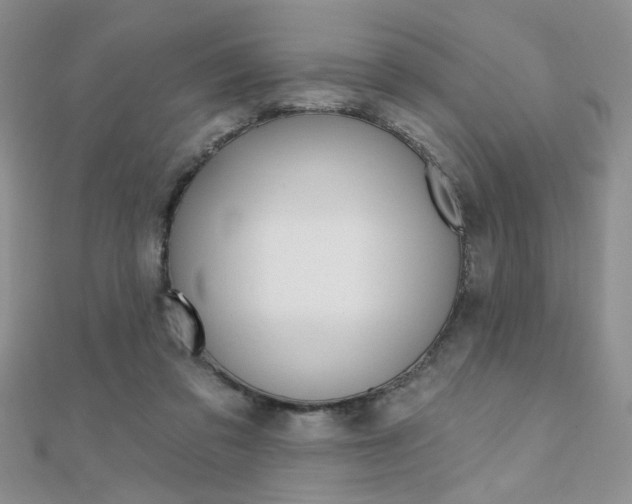 X0000110680309200906121040