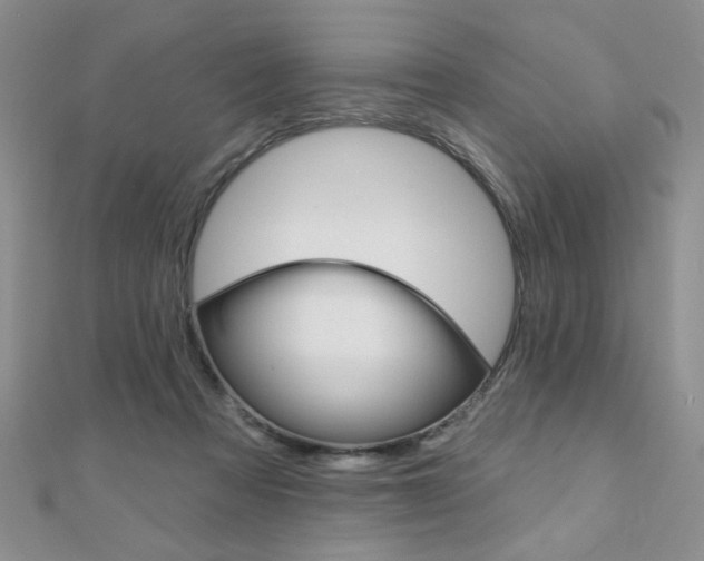 X0000110680313200906121040