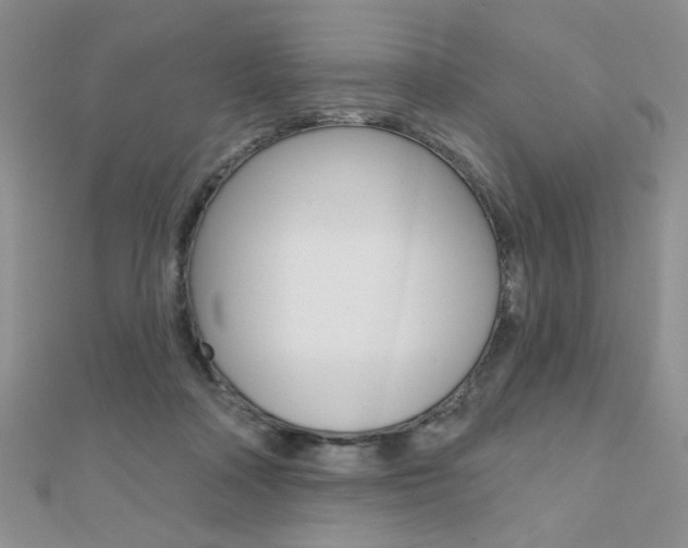 X0000110680314200906121040