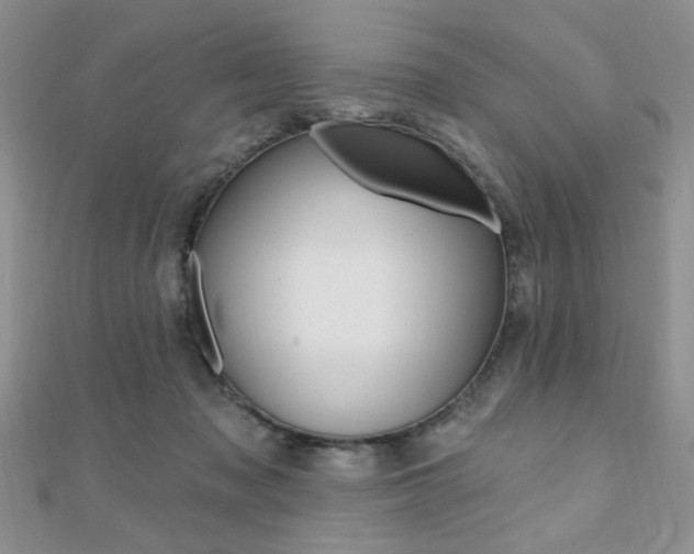 X0000110680317200906121040