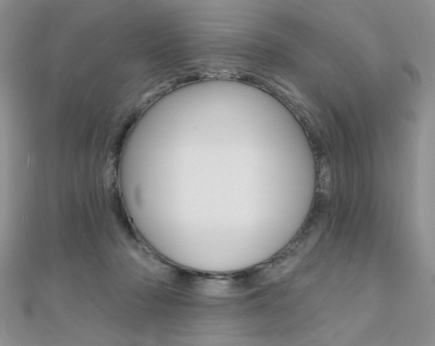 X0000110680318200906121040