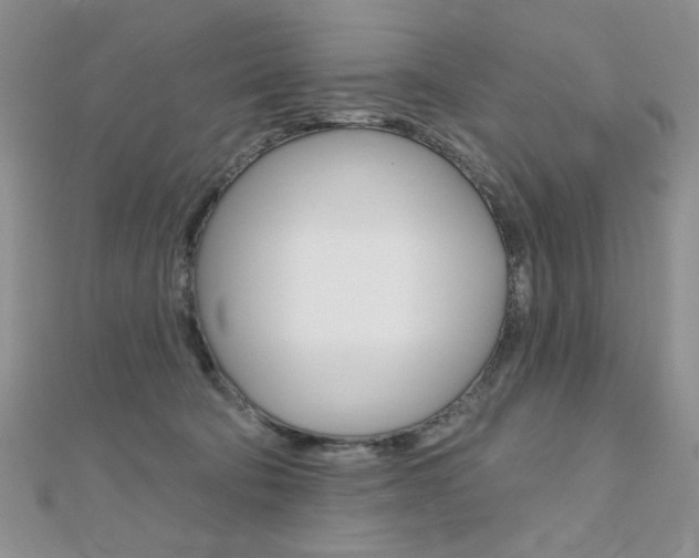 X0000110680322200906121040