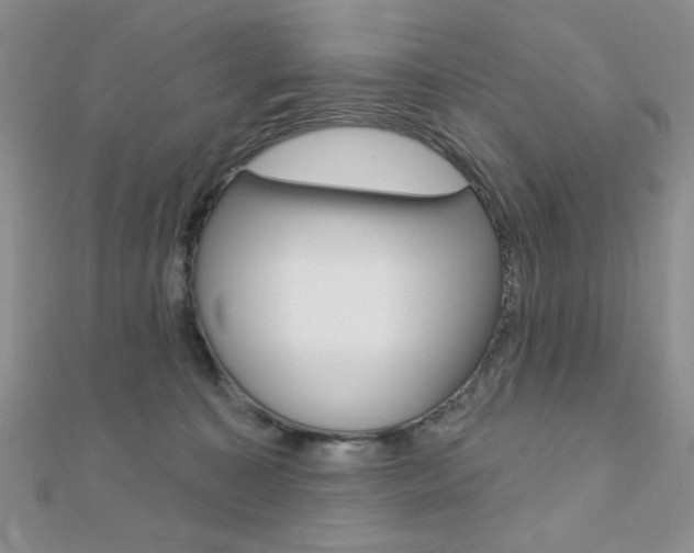 X0000110680323200906121040
