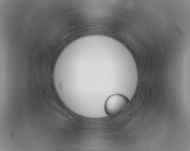 X0000110680324200906121040