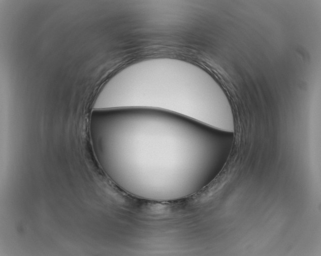 X0000110680325200906121040