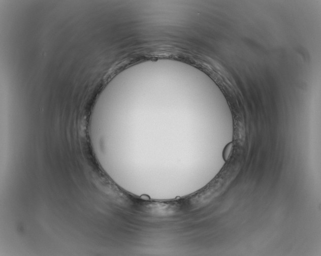 X0000110680326200906121040