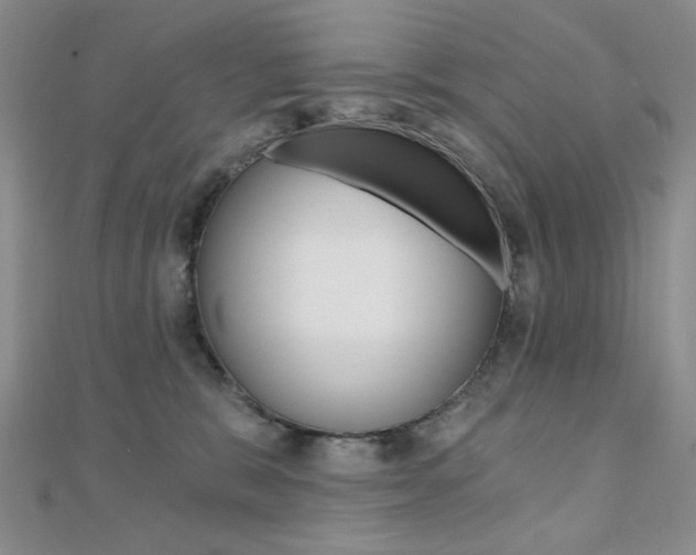 X0000110680327200906121040