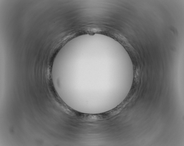 X0000110680330200906121040