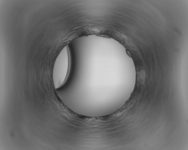 X0000110680331200906121040