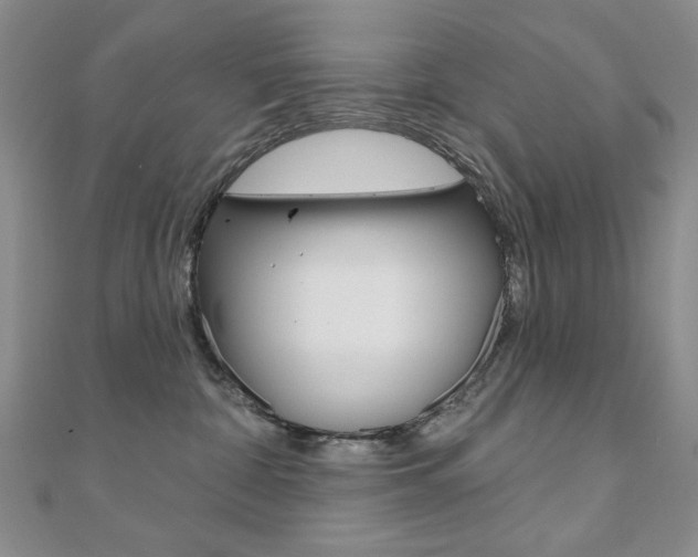 X0000110680332200906121040