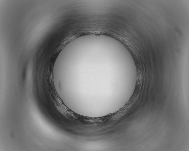 X0000110680334200906121040