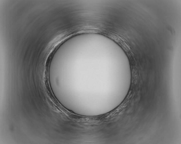 X0000110680338200906121039