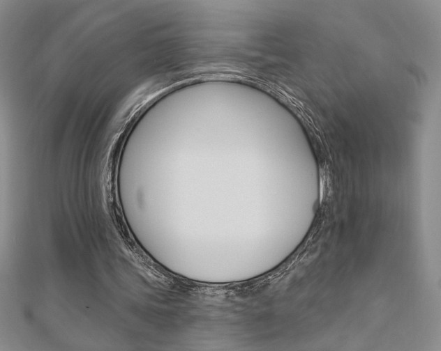X0000110680339200906121039