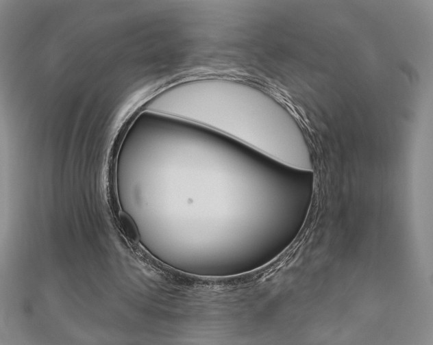 X0000110680340200906121039