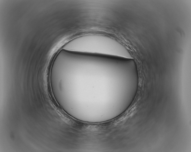 X0000110680341200906121039