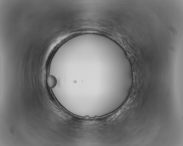 X0000110680342200906121039
