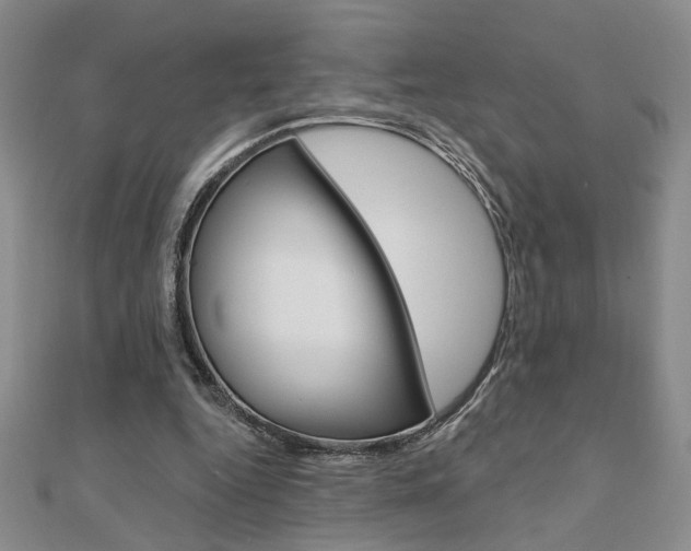 X0000110680344200906121040