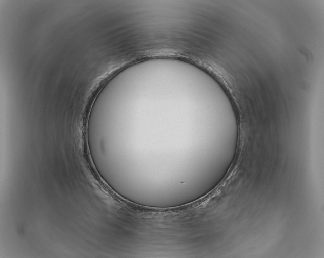 X0000110680345200906121040