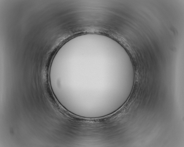 X0000110680347200906121040