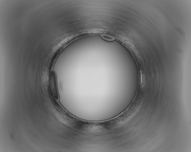 X0000110680348200906121040