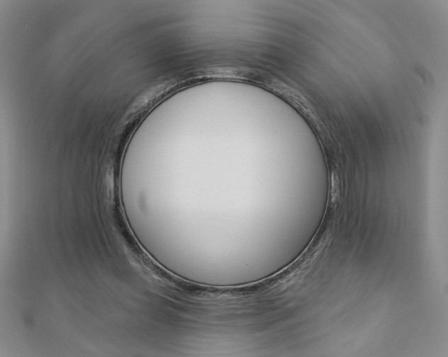 X0000110680349200906121040