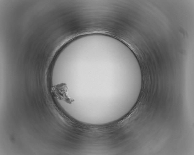 X0000110680350200906121040