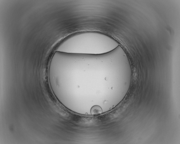 X0000110680351200906121040